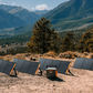 Jackery Next To Solar Panels Outside